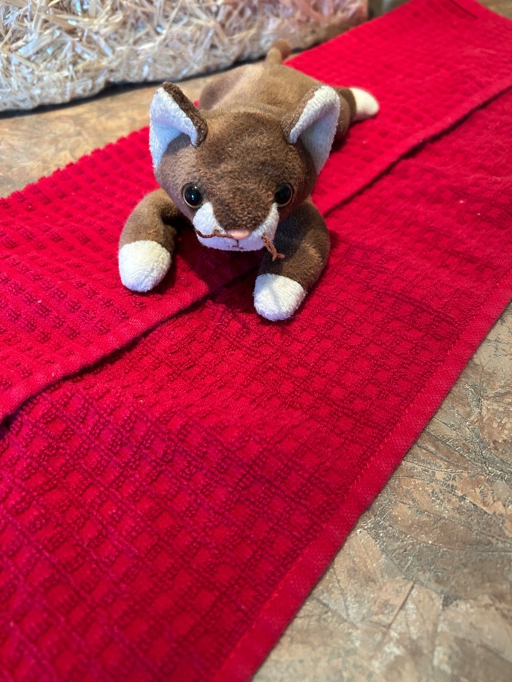 TY Beanie Babies Vintage 1997 Pounce the Cat